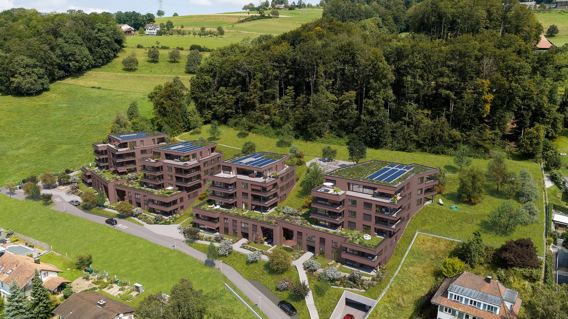 Architekturvisualisierungen Vogelperspektive Steinbären in Triengen